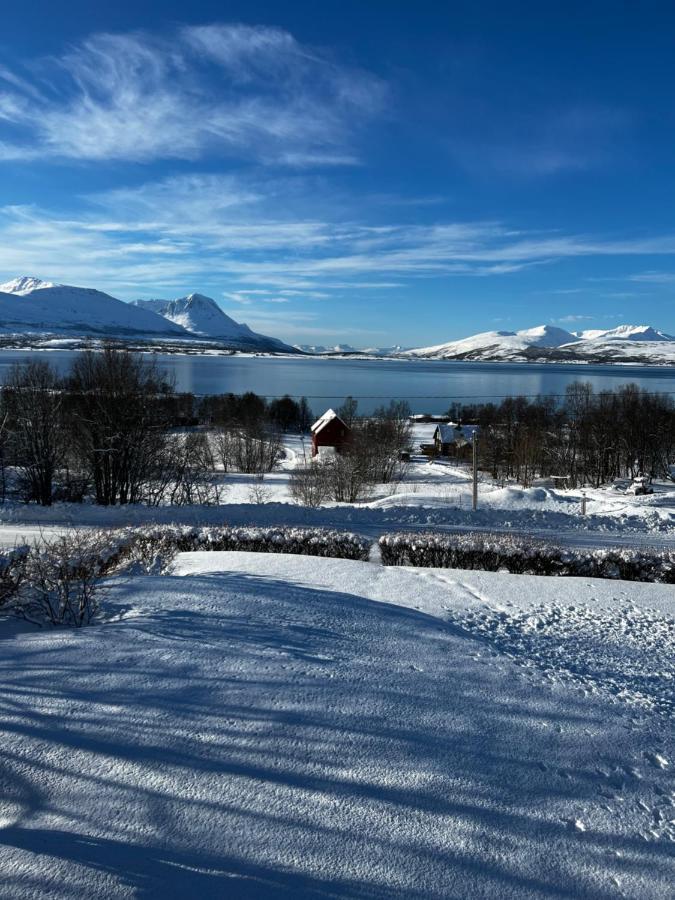 Liten Kjellerleilighet. Landlig Rolig Omrade. Tromso Exterior photo